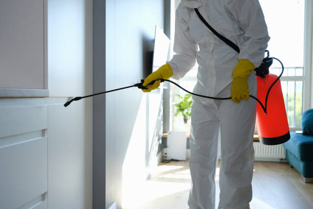 Home Mold Removal in Baldwinville, MA