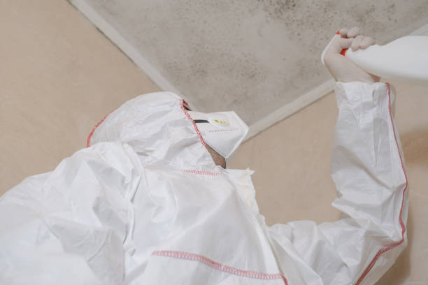 Mold Testing and Removal in Baldwinville, MA