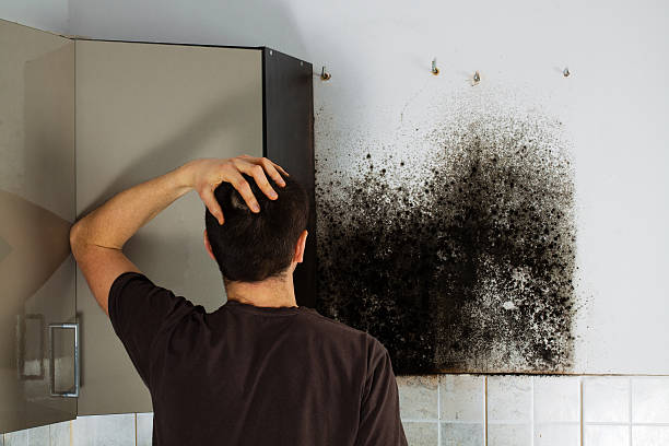 Best Mold Testing  in Baldwinville, MA